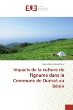 Impacts de la culture de l'igname dans la Commune de Ouèssè au Bénin