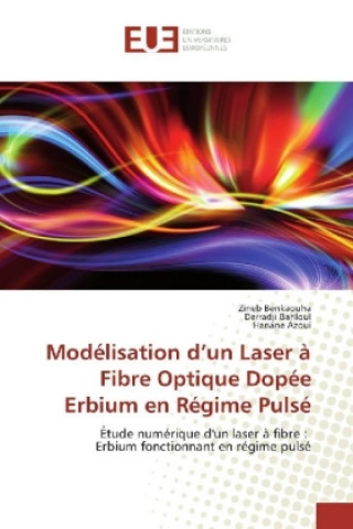 Modélisation d'un Laser à Fibre Optique Dopée Erbium en Régime Pulsé