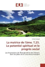 La matrice de l'âme - Le potentiel spirituel et le progrès social