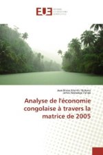 Analyse de l'économie congolaise à travers la matrice de 2005