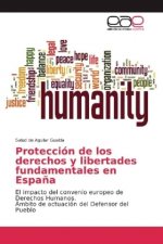Protección de los derechos y libertades fundamentales en España