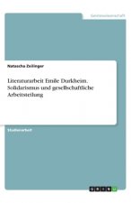 Literaturarbeit Emile Durkheim. Solidarismus und gesellschaftliche Arbeitsteilung