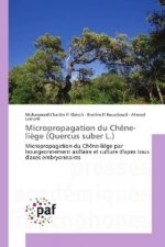 Micropropagation du Chêne-liège (Quercus suber L.)