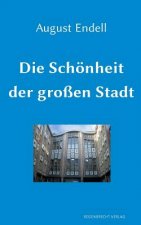 Schoenheit der grossen Stadt