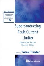 Superconducting Fault Current Limiter: Innovation For The Electric Grids