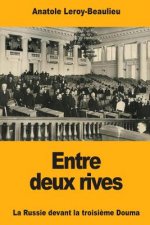 Entre deux rives: La Russie devant la troisi?me Douma