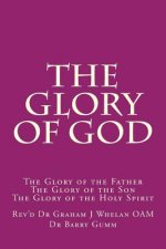 The Glory of God: The Glory of the Father The Glory of the Son The Glory of the Holy Spirit