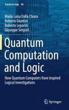 Quantum Computation and Logic