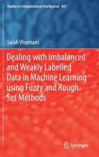 Dealing with Imbalanced and Weakly Labelled Data in Machine Learning using Fuzzy and Rough Set Methods
