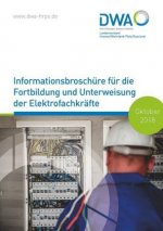 Informationsbroschüre für die Fortbildung und Unterweisung der Elektrofachkräfte