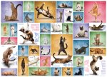 Yoga Cats. Puzzle 1000 Teile