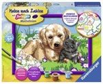 Hund und Katze - Mal-Set