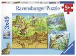 Tiere in ihren Lebensräumen - Puzzle mit 49 Teilen