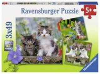 Süße Samtpfötchen - Puzzle mit 49 Teilen