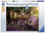 Ponys in der Heide - Puzzle mit 500 Teilen
