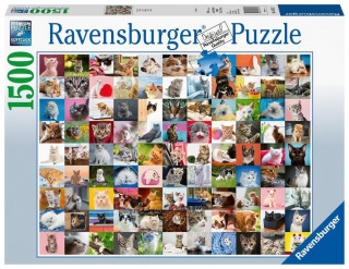 99 Katzen - Puzzle mit 1500 Teilen