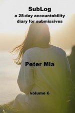 SubLog: a 28-day accountability diary for submissives