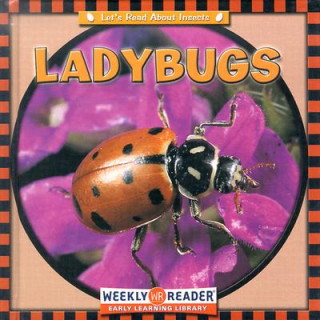 Ladybugs