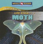 The Life Cycle of a Moth