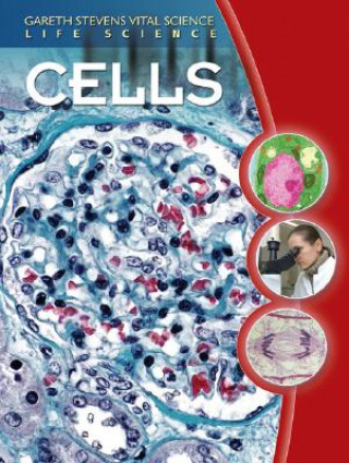 Cells