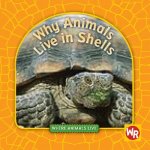 Why Animals Live in Shells