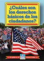 Cuales Son los Derechos Basicos de los Ciudadanos?