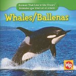 Whales/Ballenas