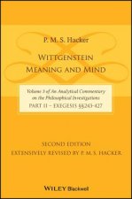 Wittgenstein - Meaning and Mind (Volume 3 of an Analytical Commentary on the Philosophical Investigations), Part 2: Exegesis 243-427