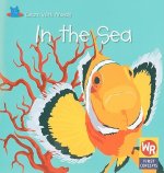 In the Sea