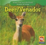 Deer/Venados