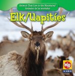 Elk/Uapities