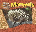 Mammals