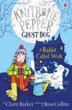 Rabbit Called Wish