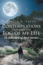 Contemplations through the Fog of My Life