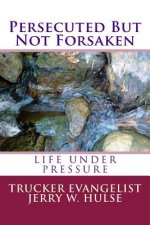 Persecuted But Not Forsaken: Life under Pressure