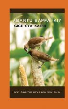 Abantu Bapfa Iki ?: Igice Cya Kabiri