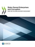 State-owned enterprises and corruption