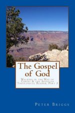 The Gospel of God: Walking in the Way of Christ & the Apostles Theological Reader, Part 3