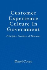 Customer Experience Culture in Government: Principles, Practices, and Measures