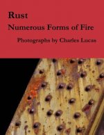 Rust: Numerous Forms of Fire