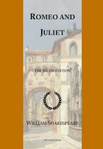 Romeo and Juliet: GCSE English Illustrated Student Edition with wide annotation friendly margins