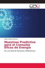Muestreo Predictivo para el Consumo Eficaz de Energia