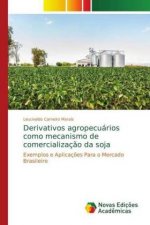 Derivativos agropecuarios como mecanismo de comercializacao da soja