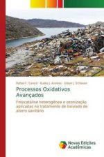 Processos Oxidativos Avancados