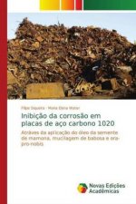 Inibicao da corrosao em placas de aco carbono 1020