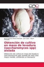 Obtencion de cultivo en masa de levadura (saccharomyces spp) aislada