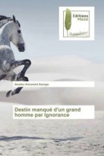 Destin manqué d'un grand homme par ignorance