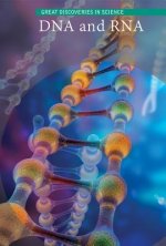 DNA and RNA