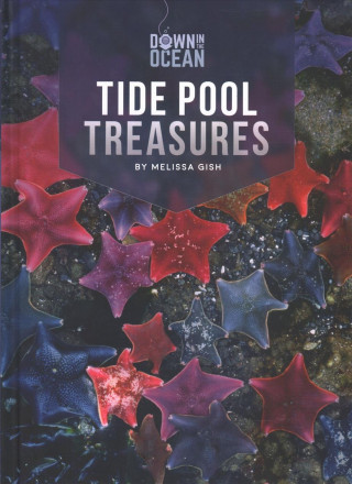 Tide Pool Treasures