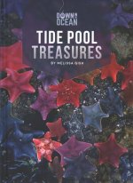 Tide Pool Treasures